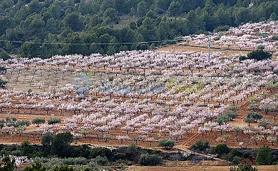 La Covarxella en Culla (Castellón) - Foto 17