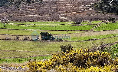 La Covarxella en Culla (Castellón) - Foto 19