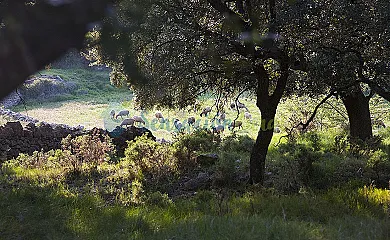 La Covarxella en Culla (Castellón) - Foto 21