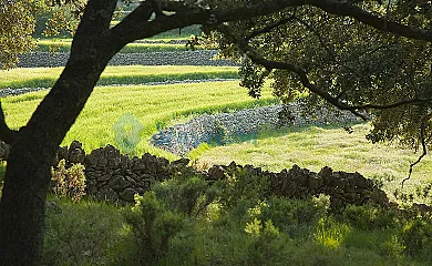 La Covarxella en Culla (Castellón) - Foto 22