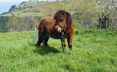 Arriola Txiki en Deba (Guipuzcoa) - Foto 9
