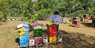 Molino de Jaranda 004