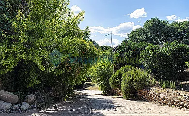 Molino de Jaranda en Collado de la Vera (Cáceres) - Foto 14