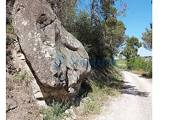 La Festa dels Sentits en Sant Marti De Malda (Lleida) - Foto 14