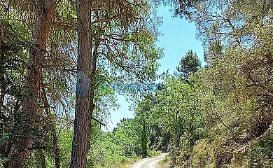La Festa dels Sentits en Sant Marti De Malda (Lleida) - Foto 15
