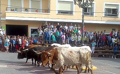 Casas Rurales Puente del Segura en Elche de la Sierra (Albacete) - Foto 11