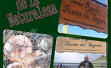 Casas Rurales Puente del Segura en Elche de la Sierra (Albacete) - Foto 18