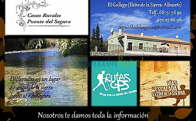 Casas Rurales Puente del Segura en Elche de la Sierra (Albacete) - Foto 24