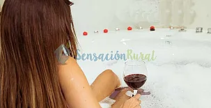 Apartamentos L´arboleu 003