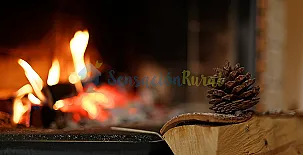 Apartamentos L´arboleu 004