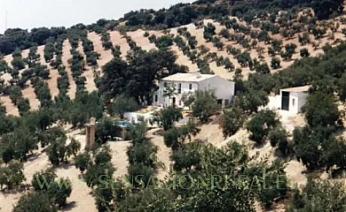 Cortijo La Leona en Carcabuey (Córdoba) - Foto 1