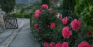 Bancal de los Pérez 004