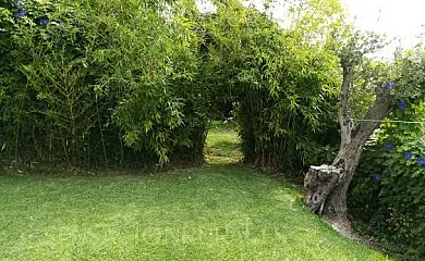 Bancal de los Pérez en Carataunas (Granada) - Foto 6