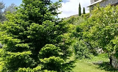 Bancal de los Pérez en Carataunas (Granada) - Foto 21