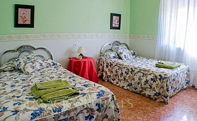 Casa Rural Las Barricas en Coca (Segovia) - Foto 8