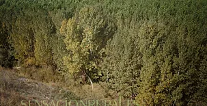 Casa Rural Las Barricas 0019