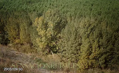 Casa Rural Las Barricas en Coca (Segovia) - Foto 19