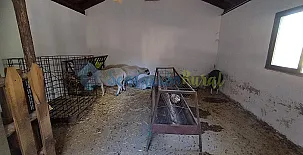 Granja las Callejuelas 007