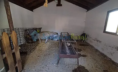 Granja las Callejuelas en Casla (Segovia) - Foto 6