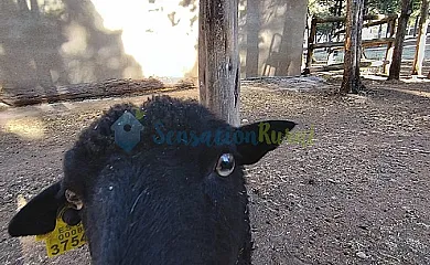 Granja las Callejuelas en Casla (Segovia) - Foto 12