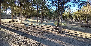 Granja las Callejuelas 0021