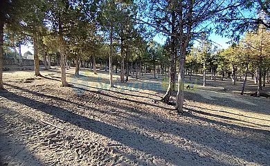 Granja las Callejuelas en Casla (Segovia) - Foto 21