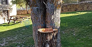 Granja las Callejuelas 0027