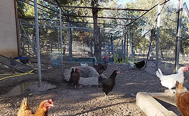 Granja las Callejuelas en Casla (Segovia) - Foto 4
