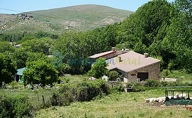 La Puerta de Gredos en San Martín Del Pimpollar (Ávila) - Foto 7