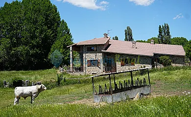 La Puerta de Gredos en San Martín Del Pimpollar (Ávila) - Foto 1