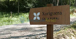 Xuriguera de Salsellas 002