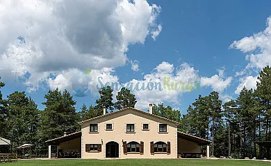 Xuriguera de Salsellas en Borredà (Barcelona) - Foto 6