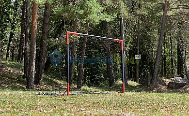 Xuriguera de Salsellas en Borredà (Barcelona) - Foto 10