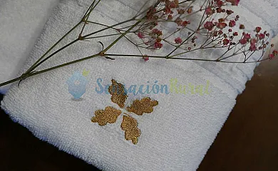 Xuriguera de Salsellas en Borredà (Barcelona) - Foto 15