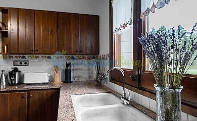 Xuriguera de Salsellas en Borredà (Barcelona) - Foto 23