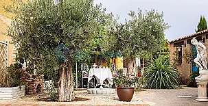 Beautiful Alamedas 002