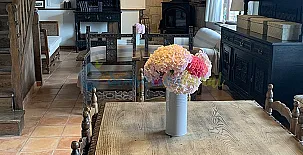 La Llosuca Rural 0066