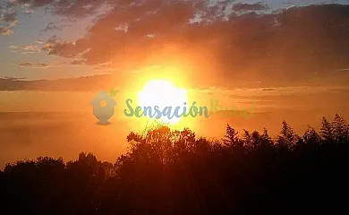 Can Ribes en Camos (Girona) - Foto 5