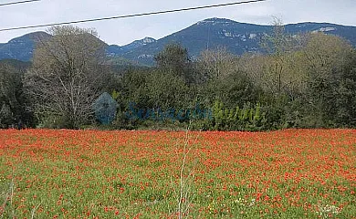 Can Ribes en Camos (Girona) - Foto 25