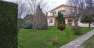 Veiga Daira Ven Con Tu Perro 004