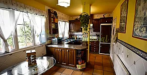 Veiga Daira Ven Con Tu Perro 003