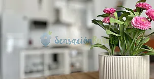 Casa Valle del Turia 003