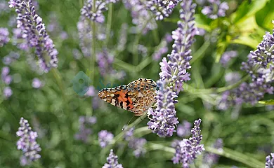 Casa Rural Otombo. Íntegro en Sayatón (Guadalajara) - Foto 14