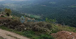 Cal Xavier de Segura 0010