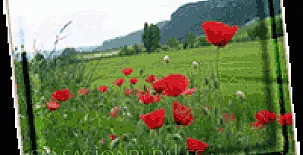 Casa Zumadoya - Andueza 006