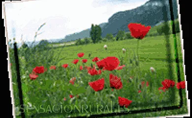 Casa Zumadoya - Andueza en Gastiáin (Navarra) - Foto 6