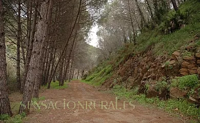 El Capricho de Almadán en Ojen (Málaga) - Foto 19