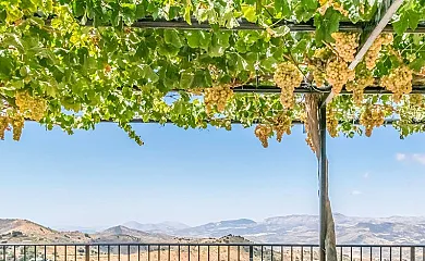 Mirador de los Palomos en Casabermeja (Málaga) - Foto 12