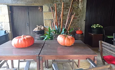 Illumbe-Goikoa en Usurbil (Guipuzcoa) - Foto 2