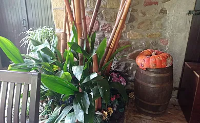 Illumbe-Goikoa en Usurbil (Guipuzcoa) - Foto 5